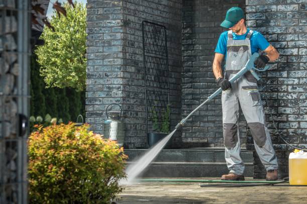 Animal Enclosure Cleaning in Victoria, VA